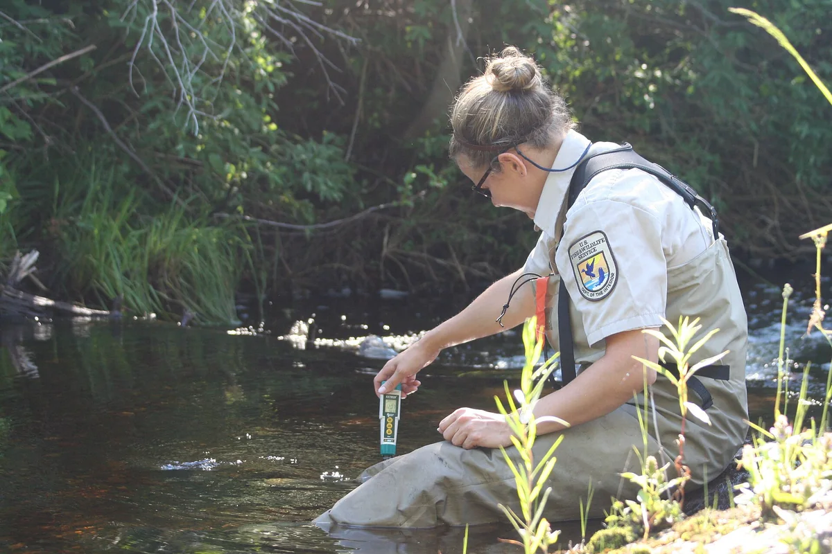 Especialista ambiental recogiendo una muestra de agua de un arroyo