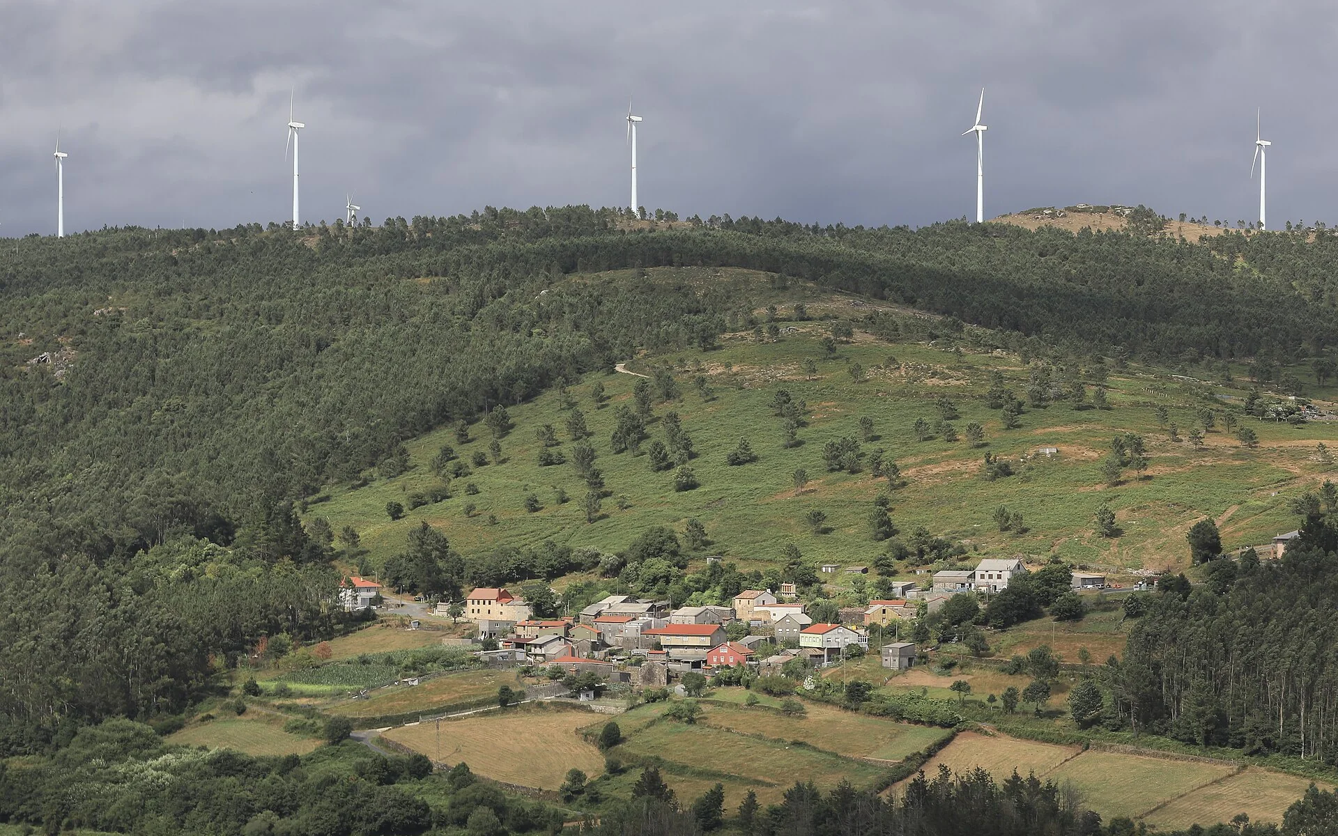 Wind turbines generating renewable energy across a rural landscape