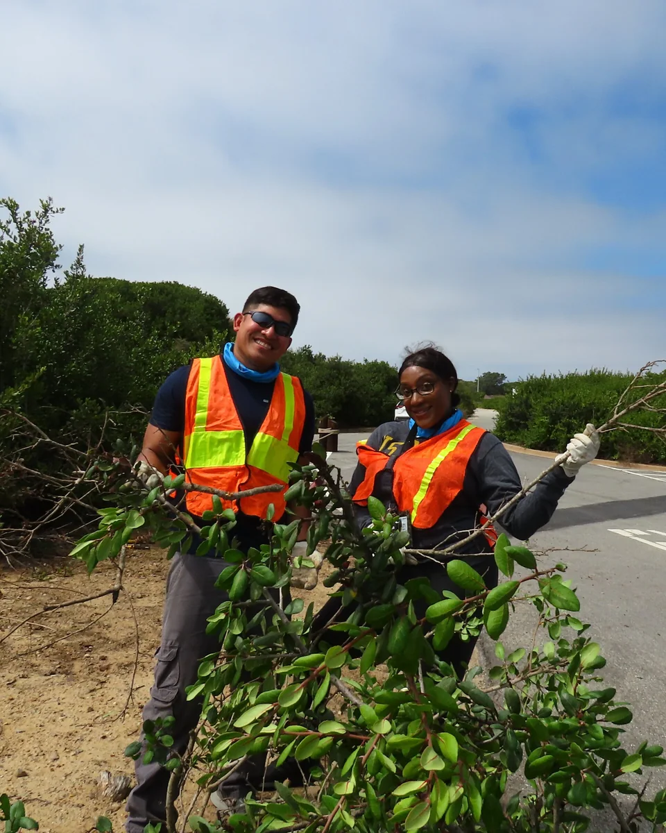 Volunteers clearing invasive plants during habitat restoration